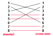 cross2.gif (1192 bytes)